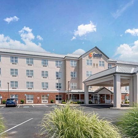 Comfort Inn & Suites Довер Экстерьер фото