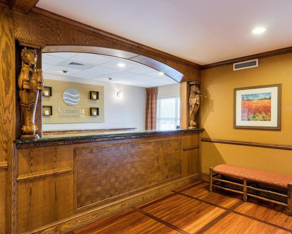 Comfort Inn & Suites Довер Экстерьер фото